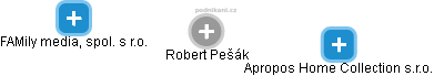 Robert Pešák - Vizualizace  propojení osoby a firem v obchodním rejstříku