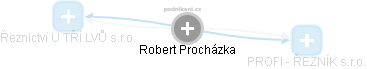  Robert P. - Vizualizace  propojení osoby a firem v obchodním rejstříku