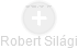 Robert Silági - Vizualizace  propojení osoby a firem v obchodním rejstříku