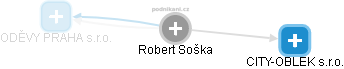 Robert Soška - Vizualizace  propojení osoby a firem v obchodním rejstříku