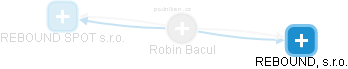Robin Bacul - Vizualizace  propojení osoby a firem v obchodním rejstříku