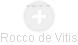 Rocco de Vitis - Vizualizace  propojení osoby a firem v obchodním rejstříku