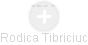 Rodica Tibriciuc - Vizualizace  propojení osoby a firem v obchodním rejstříku