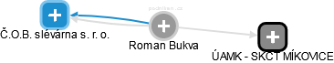 Roman Bukva - Vizualizace  propojení osoby a firem v obchodním rejstříku
