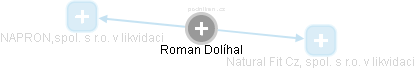 Roman Dolihal - Vizualizace  propojení osoby a firem v obchodním rejstříku