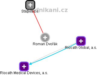 Roman Dvořák - Vizualizace  propojení osoby a firem v obchodním rejstříku