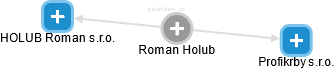 Roman Holub - Vizualizace  propojení osoby a firem v obchodním rejstříku