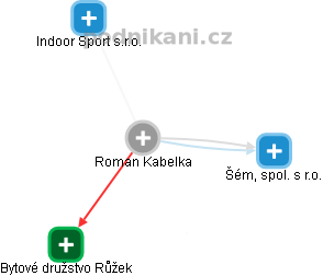 Roman Kabelka - Vizualizace  propojení osoby a firem v obchodním rejstříku