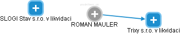 ROMAN MAULER - Vizualizace  propojení osoby a firem v obchodním rejstříku