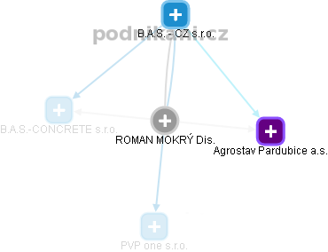 ROMAN MOKRÝ - Vizualizace  propojení osoby a firem v obchodním rejstříku