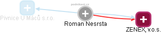 Roman Nesrsta - Vizualizace  propojení osoby a firem v obchodním rejstříku