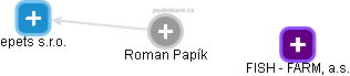 Roman Papík - Vizualizace  propojení osoby a firem v obchodním rejstříku