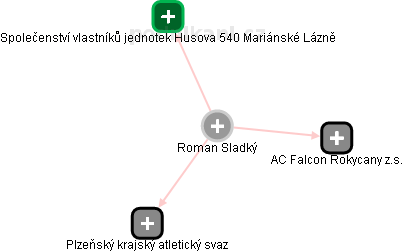 Roman Sladký - Vizualizace  propojení osoby a firem v obchodním rejstříku