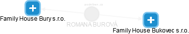 ROMANA BUROVÁ - Vizualizace  propojení osoby a firem v obchodním rejstříku