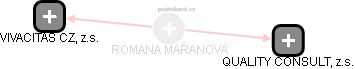 ROMANA MAŘANOVÁ - Vizualizace  propojení osoby a firem v obchodním rejstříku
