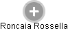 Roncaia Rossella - Vizualizace  propojení osoby a firem v obchodním rejstříku
