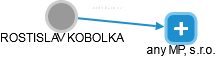 ROSTISLAV KOBOLKA - Vizualizace  propojení osoby a firem v obchodním rejstříku