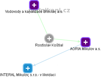 Rostislav Koštial - Vizualizace  propojení osoby a firem v obchodním rejstříku