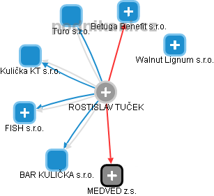 ROSTISLAV TUČEK - Vizualizace  propojení osoby a firem v obchodním rejstříku