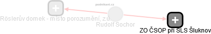  Rudolf S. - Vizualizace  propojení osoby a firem v obchodním rejstříku