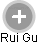 Rui Gu - Vizualizace  propojení osoby a firem v obchodním rejstříku