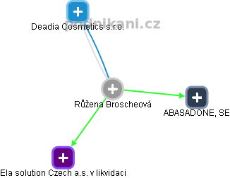 Růžena Broscheová - Vizualizace  propojení osoby a firem v obchodním rejstříku