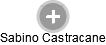 Sabino Castracane - Vizualizace  propojení osoby a firem v obchodním rejstříku