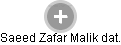 Saeed Zafar Malik dat. - Vizualizace  propojení osoby a firem v obchodním rejstříku