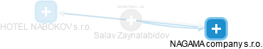 Salav Zaynalabidov - Vizualizace  propojení osoby a firem v obchodním rejstříku