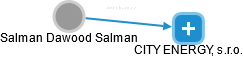  Salman S. - Vizualizace  propojení osoby a firem v obchodním rejstříku