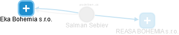 Salman Sebiev - Vizualizace  propojení osoby a firem v obchodním rejstříku