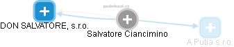 Salvatore Ciancimino - Vizualizace  propojení osoby a firem v obchodním rejstříku