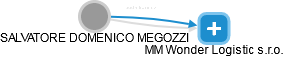 SALVATORE DOMENICO MEGOZZI - Vizualizace  propojení osoby a firem v obchodním rejstříku