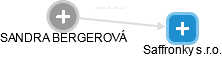 SANDRA BERGEROVÁ - Vizualizace  propojení osoby a firem v obchodním rejstříku