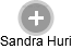  Sandra H. - Vizualizace  propojení osoby a firem v obchodním rejstříku
