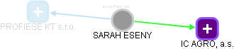 SARAH ESENY - Vizualizace  propojení osoby a firem v obchodním rejstříku