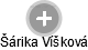 Šárika Víšková - Vizualizace  propojení osoby a firem v obchodním rejstříku