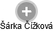 Šárka Čížková - Vizualizace  propojení osoby a firem v obchodním rejstříku