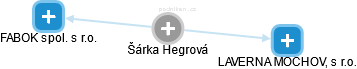 Šárka Hegrová - Vizualizace  propojení osoby a firem v obchodním rejstříku