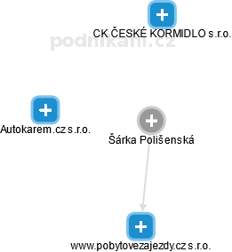 Šárka Polišenská - Vizualizace  propojení osoby a firem v obchodním rejstříku