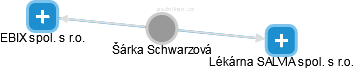 Šárka Schwarzová - Vizualizace  propojení osoby a firem v obchodním rejstříku