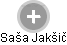 Saša Jakšič - Vizualizace  propojení osoby a firem v obchodním rejstříku