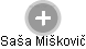 Saša Miškovič - Vizualizace  propojení osoby a firem v obchodním rejstříku
