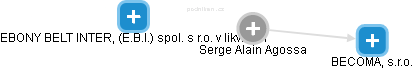  Serge A. - Vizualizace  propojení osoby a firem v obchodním rejstříku