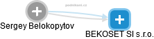 Sergey Belokopytov - Vizualizace  propojení osoby a firem v obchodním rejstříku