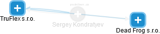 Sergey Kondratyev - Vizualizace  propojení osoby a firem v obchodním rejstříku
