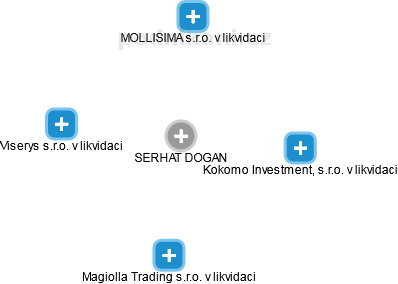 SERHAT DOGAN - Vizualizace  propojení osoby a firem v obchodním rejstříku