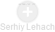 Serhiy Lehach - Vizualizace  propojení osoby a firem v obchodním rejstříku