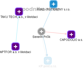 Severin Prčík - Vizualizace  propojení osoby a firem v obchodním rejstříku