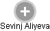 Sevinj Aliyeva - Vizualizace  propojení osoby a firem v obchodním rejstříku